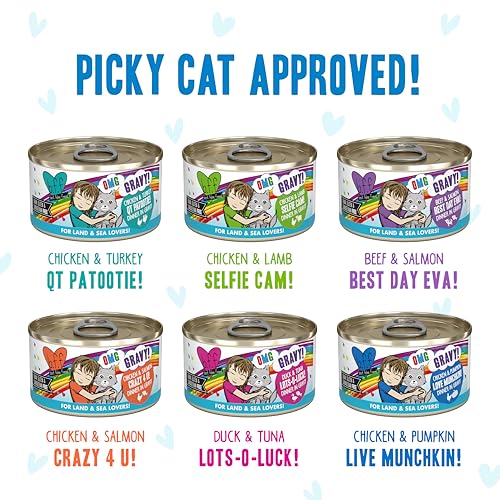 B.F.F. OMG Best Feline Friend Oh My Gravy! (2.8 Ounce (Pack of 12))