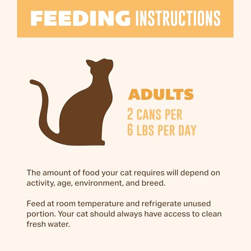 Canned Wet Cat Food
