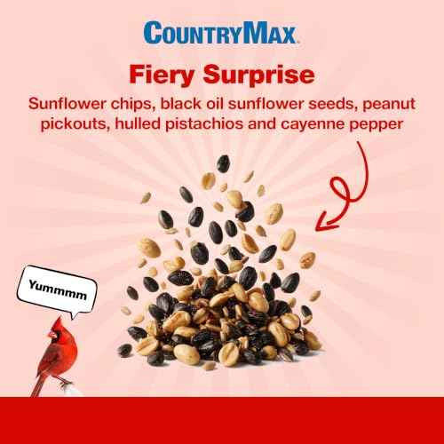 Backyard Seeds 14LB Fiery Surprise Spicy Bird Seed Blend (Fiery Surprise / 14 Pound (Pack of 1))