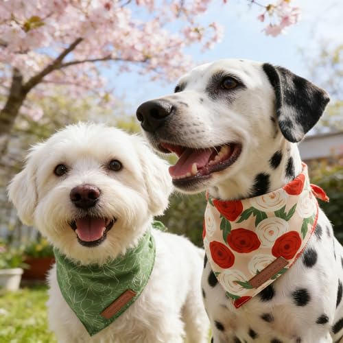 Spring Dog Bandanas 2 Pack (Spring / Large)