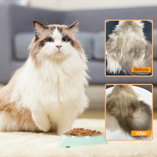4 in 1 Cat Steam Brush for Shedding