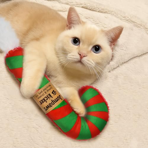 2 Pack Natural Interactive Catnip Cat Kicker Toys