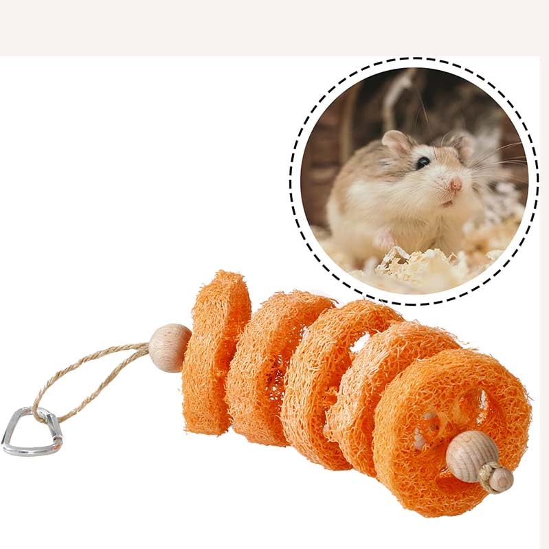 Bunny Chew Toys 2 Pack Natural Loofah Hanging Toy with Fruit Flavor for Rabbits Guinea Pigs Hamsters Small Animal Teeth Grinding and Cage Enrichment Rabbit Chew Toys (Orange Flavor)