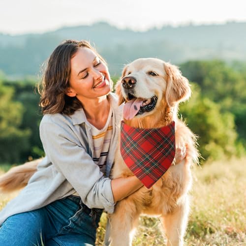 2 Pack Christmas Dog Bandanas Scarf for Boy and Girl (Red Green-Christmas)