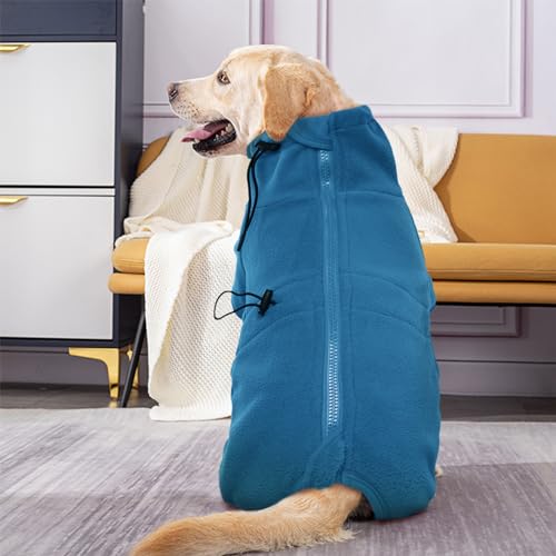 Doberman Sweater for Dogs (2XL / Turquoise)