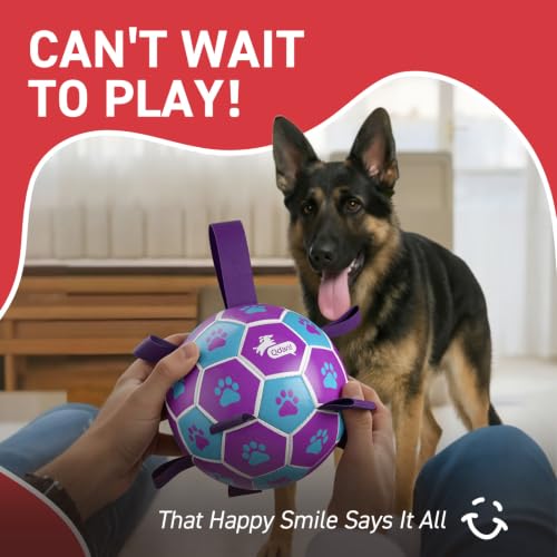 Big Dog Toys Large Herding Ball for Dogs Large (Purple-Blue / Extra Large Size 5 (9 Inch))