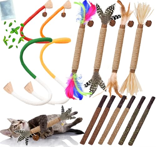 Cat Toys 12PCS Mix Catnip Chew Rope Silvervine Stick for Indoor Cat (MIX-12PACK)