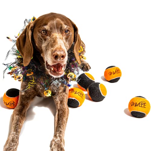 Orange Black Dog Halloween Tennis Balls Fetch Toy