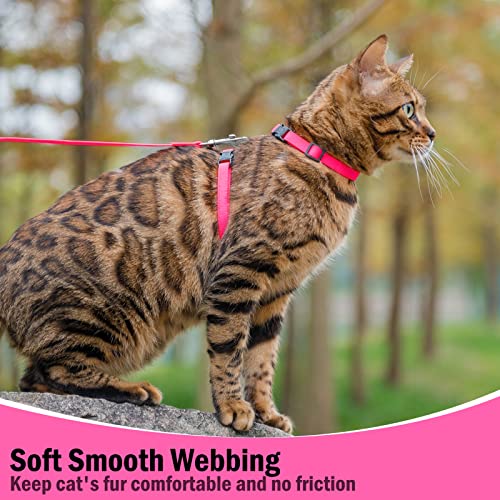 Adjustable Cat Harness and Leash Set Escape Proof Kitten Strap Collar for Walking Travel (Small / Hot Pink)