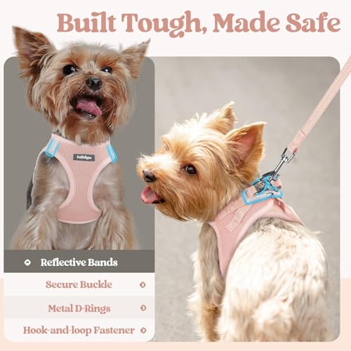 Dog Harness Small Sized and Leash Set (Pink / Xxs (chest: 12.4 - 14.2"))