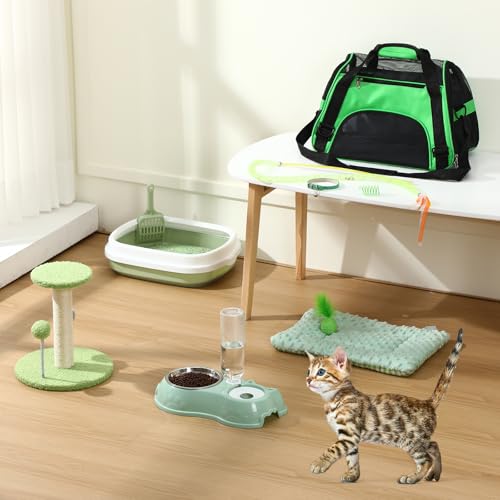 10 Pcs Kitten Starter Kit for Indoor (Classic / Medium / Green)
