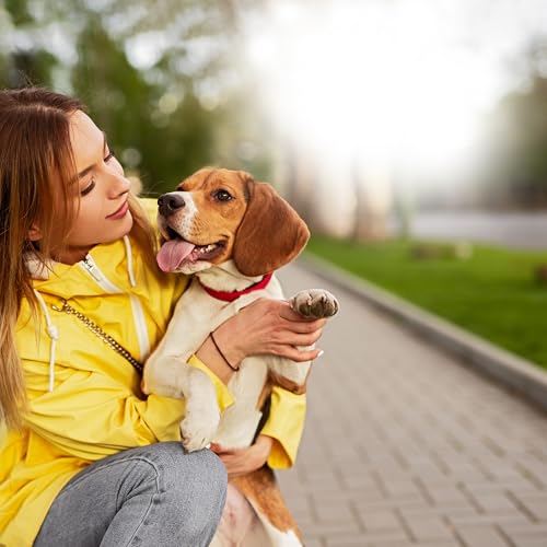Auris Natural Ear Care for Dogs & Cats