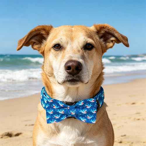 Dog Collar Shark Print Pet Collar with Bow Boy Medium (Blue Shark / Medium (Pack of 1))