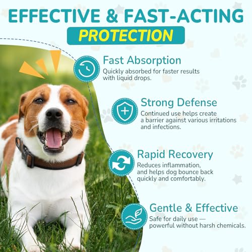 Antibiotics for Dogs (2 Pack)