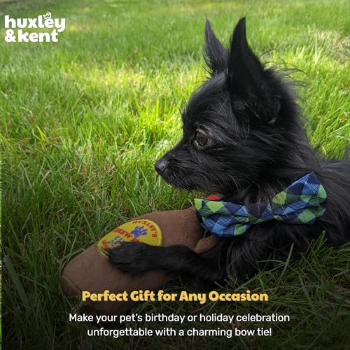 Pet Bow Tie for Dogs & Cats (Small)