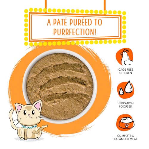 Wet Cat Food Love Connection with Chicken and Salmon Pate (5.5 Ounce (Pack of 12))