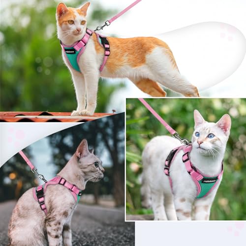 Cat Harness and Leash Set
