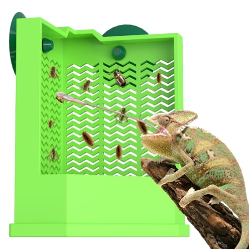 Bearded Dragon Feeder (Corner Mounted Feeding Dish / Small)