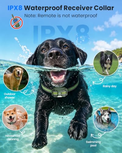 Dog Training Collar with Remote (for 1 dog (D8 Green))