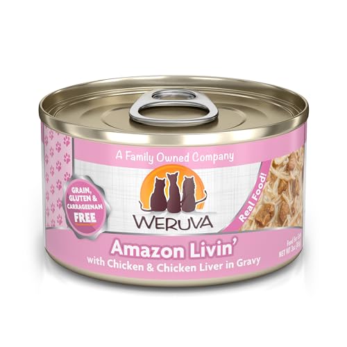 Classic Cat Food (3 Ounce (Pack of 24))