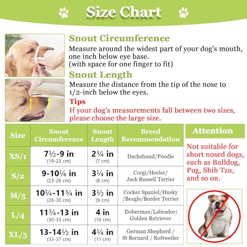 Dog Muzzle Printed Basket Muzzle for Small Medium Large Dogs Dachshund (X-Small / Graffiti)