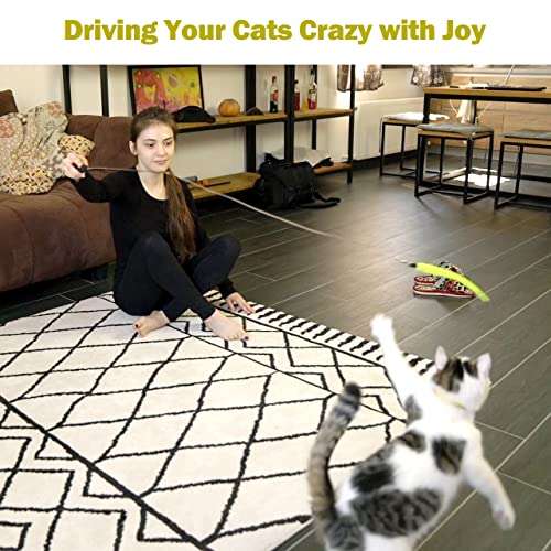 Cat Toys for Indoor Cats
