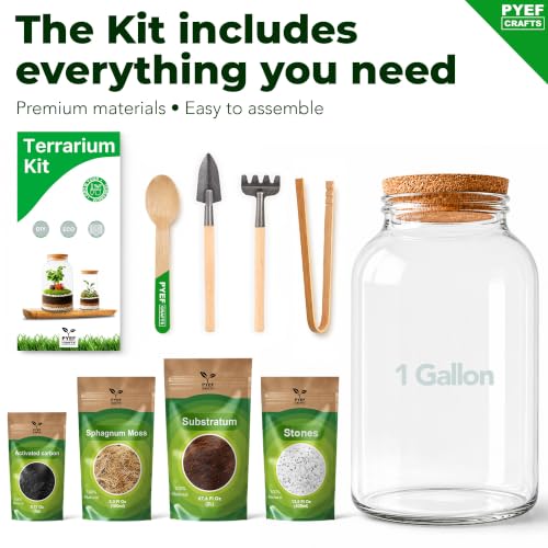 Terrarium Kit for Plants DIY (1 Gallon)