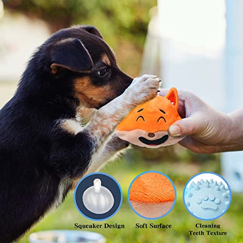 Dog Chew Toy with Ball