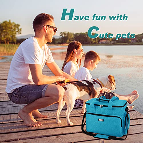 Dog Travel Bag (Sky Blue / Large)