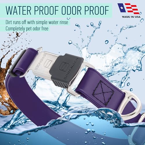 Biothane Waterproof Dog Collar with Herm Sprenger Stainless Steel Quick Release Buckle (W 1" x L 15"-25" / Violet Purple)