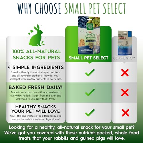 Healthy Snacker (2 Ounce (Pack of 1))