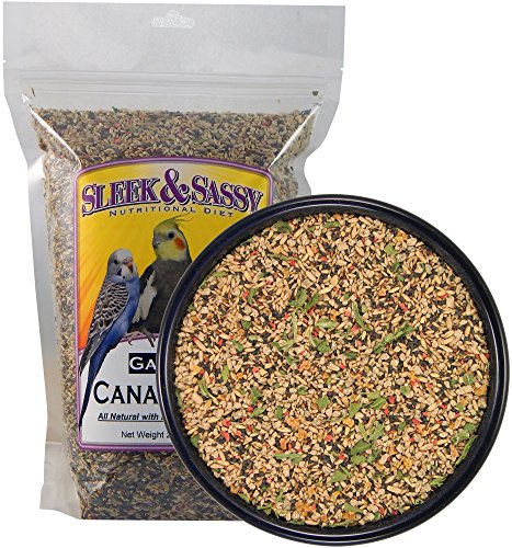 Garden Canary Bird Food