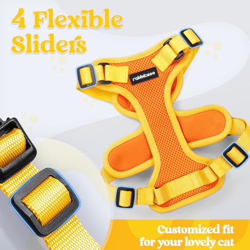 Cat Harness and Leash Set