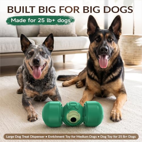 XL Dog Treat Dispenser Toy (Extra Large / Soft Green)