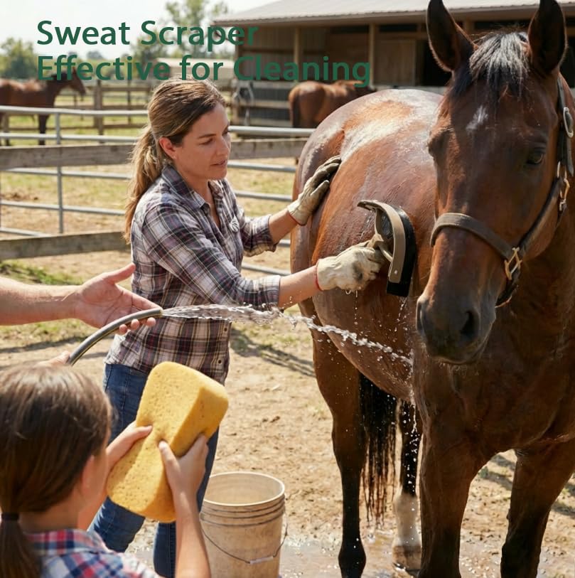 Horse Grooming Kit 13 Piece (Brown Green)