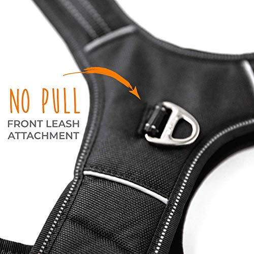Sport Harness 2.0 (Large / Black)