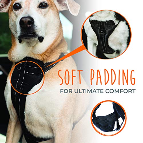 Dog Car Harness (Large / Black)