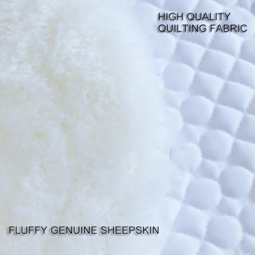 Dressage Saddle Pad Sheepskin Trim Lambskin Wool Fleece White (White/Ivory)