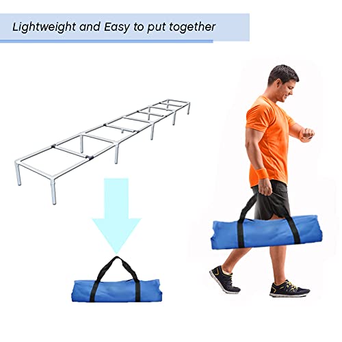 Dogs Agility Training Ladder