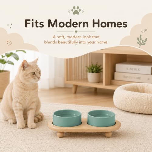 Raised Cat Bowl 5.1” Elevated Ceramic Cat Food and Water Bowl Set (Light Green)