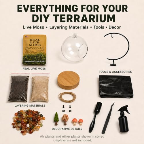 DIY Glass Terrarium Kit with Live Moss & Mini Tools