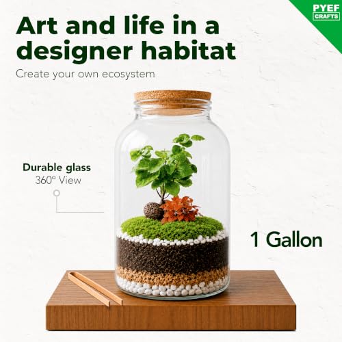 Terrarium Kit for Plants DIY (1 Gallon)