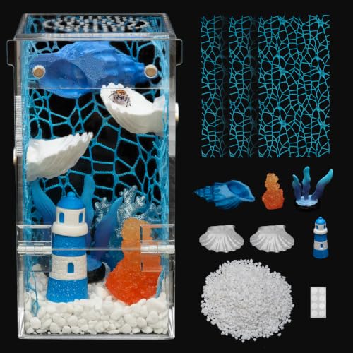 Jumping Spider Enclosure Starter Kit (Blue / Small)