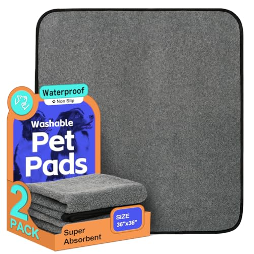 Washable Pee Pads for Dogs (36"x36" -2 Pack / Gray)
