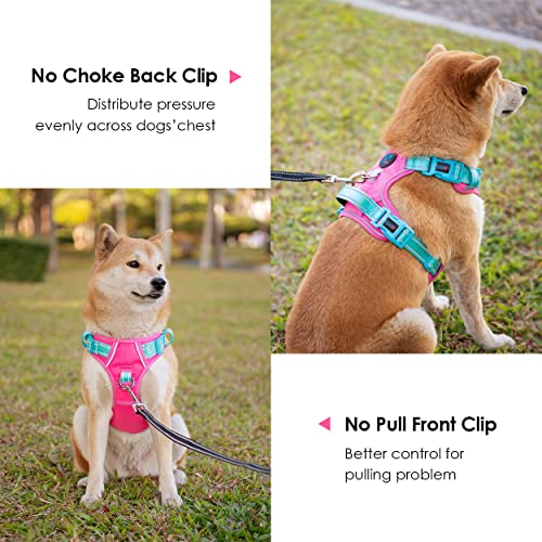 No Pull Dog Harness (Pink Base & Green Straps / Extra Small)