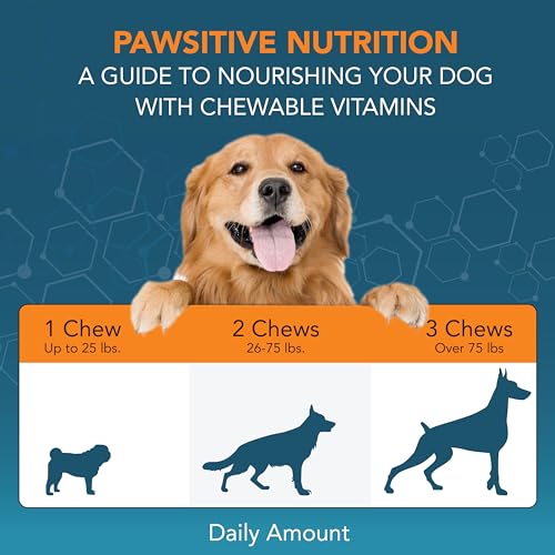Eye Supplement for Dogs (3 Pack)