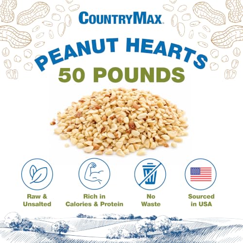 50LB Peanut Hearts for Wild Birds & Squirrels (50 Pound (Pack of 1) / Peanut Hearts)