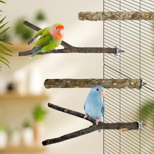 8 PCS Natural Bird Wood Perch Parakeet Standing Toy Sticks Parrot Paw Grinding Branches Cockatiels Cage Chewable Accessories for Conures Macaws Finches