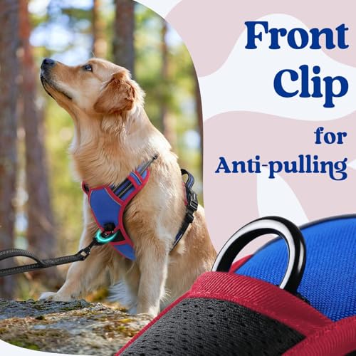 Dog Harness Small Sized (Blue & Red / Small)