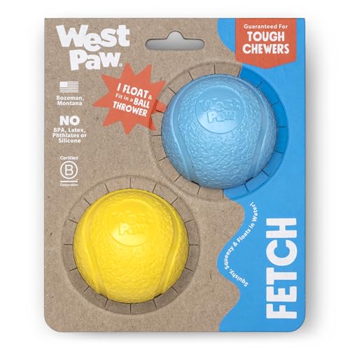 Boundr Ball Dog Fetch Toy (Small (Pack of 2) / Aqua Blue/Dandelion)